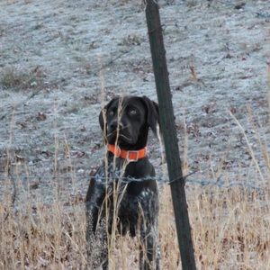 Meet your Posher, Vance